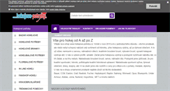 Desktop Screenshot of hokejove-potreby.cz